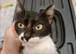 サンプルイメージ