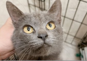 サンプルイメージ