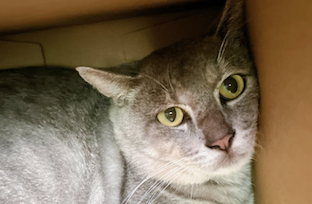 サンプルイメージ