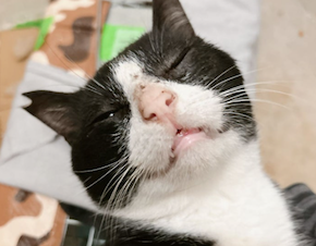 サンプルイメージ