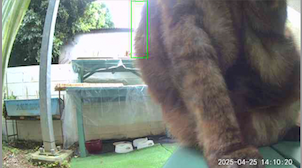 サンプルイメージ