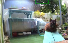 サンプルイメージ